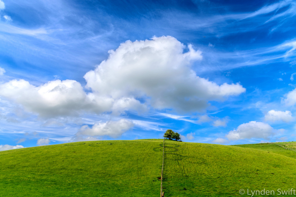 Cotswolds