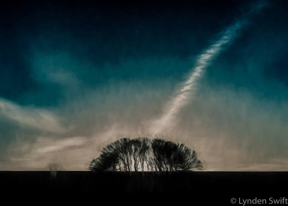 Cloud strikes tree