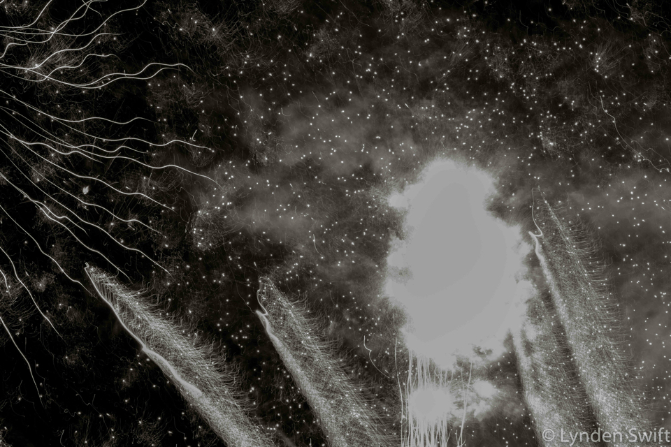 Creatures of Light