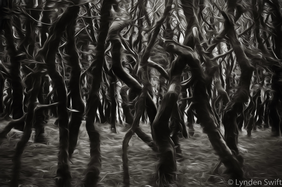 Twisting wood